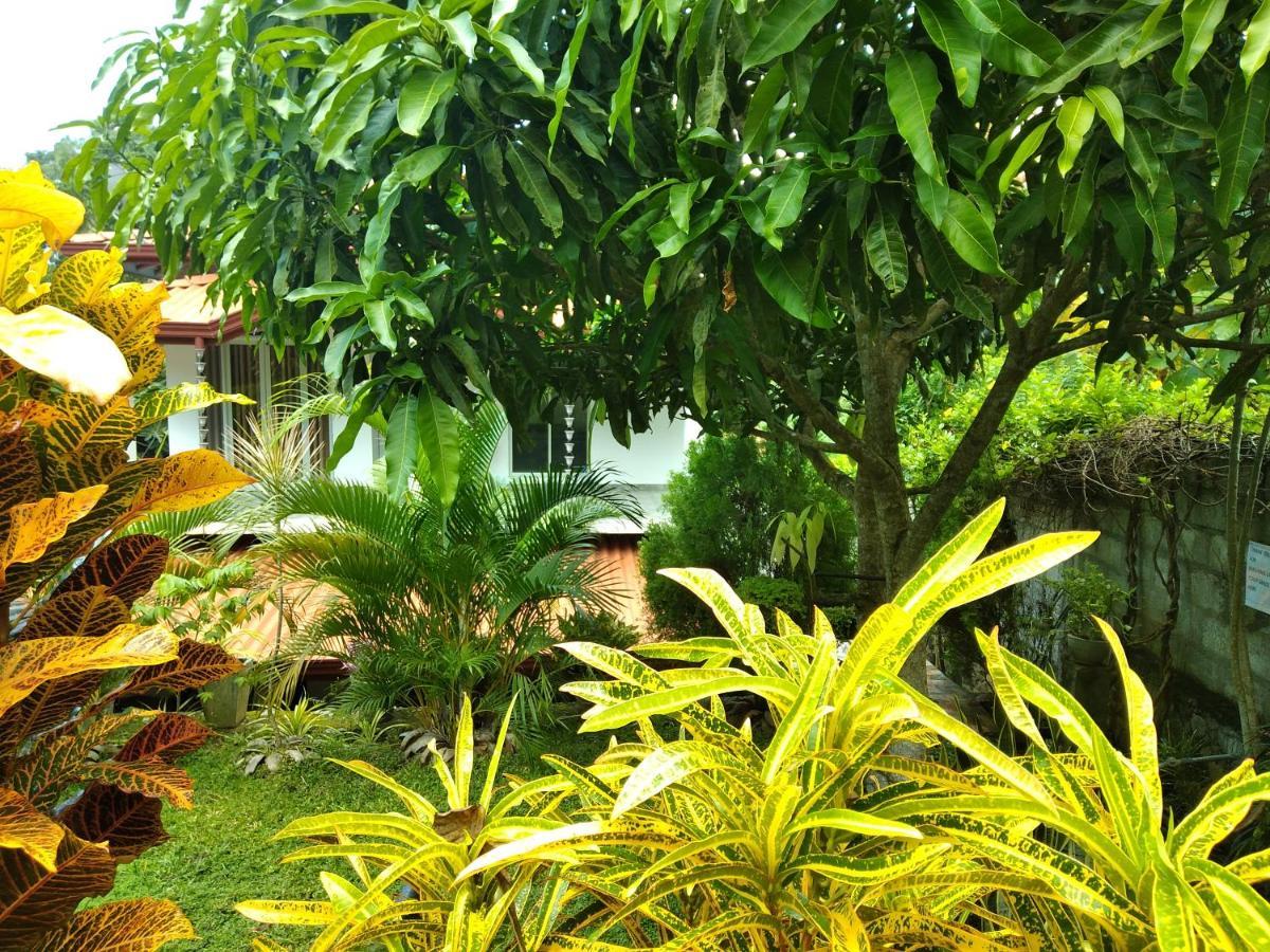 Sandhara Home Stay تانجالي المظهر الخارجي الصورة